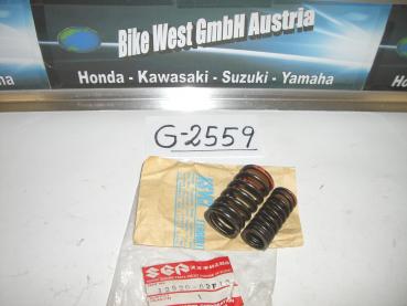 Suzuki TL1000S, Ventilfedersatz, Spring Set, Valve