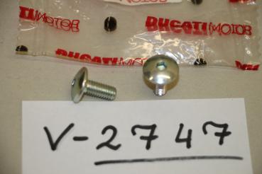 Ducati 750-900SS/ST3-4, 2x SCREW TCEI (M6x1.00 L14) 800055703